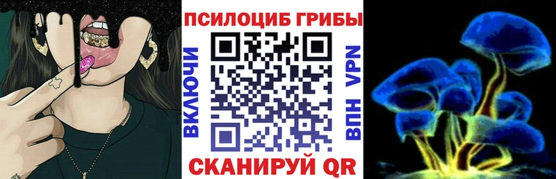 цена наркотик  hydra ссылка  Псилоцибиновые грибы Psilocybine cubensis  Олонец 